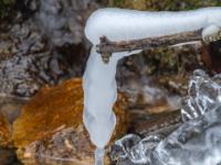 Dicker Eisfinger hängt von vereistem Astende über den Zellgrabenbach